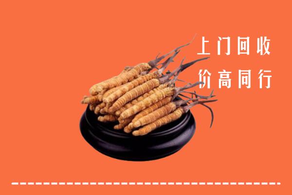 高价求购：广州回收散虫草