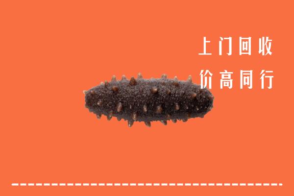 高价求购：广州回收海参