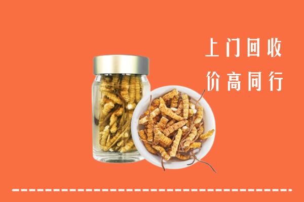 广州回收冬虫夏草